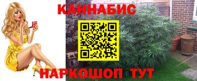 круглые Лесосибирск