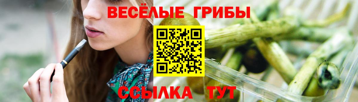 Псилоцибиновые грибы GOLDEN TEACHER  Вход с VPN  Вичуга 